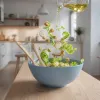 Comment choisir un saladier design pour sublimer la table et la salade