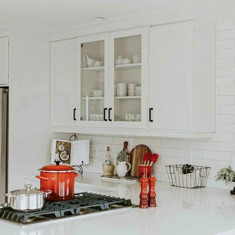 Les secrets des croquilles pour escargots : un ustensile indispensable