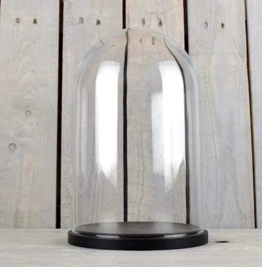 EMH Medium Glass Dome Display Cover Cloche Black Base Height 31cm…