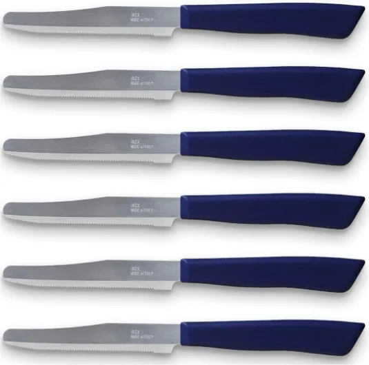Tredoni 6 Couteaux de Cuisine - Couteau Dentelé 11cm en Acier Inoxydable Italien à Légumes/Steak/Table, Pointe Arrondie (Bleu)