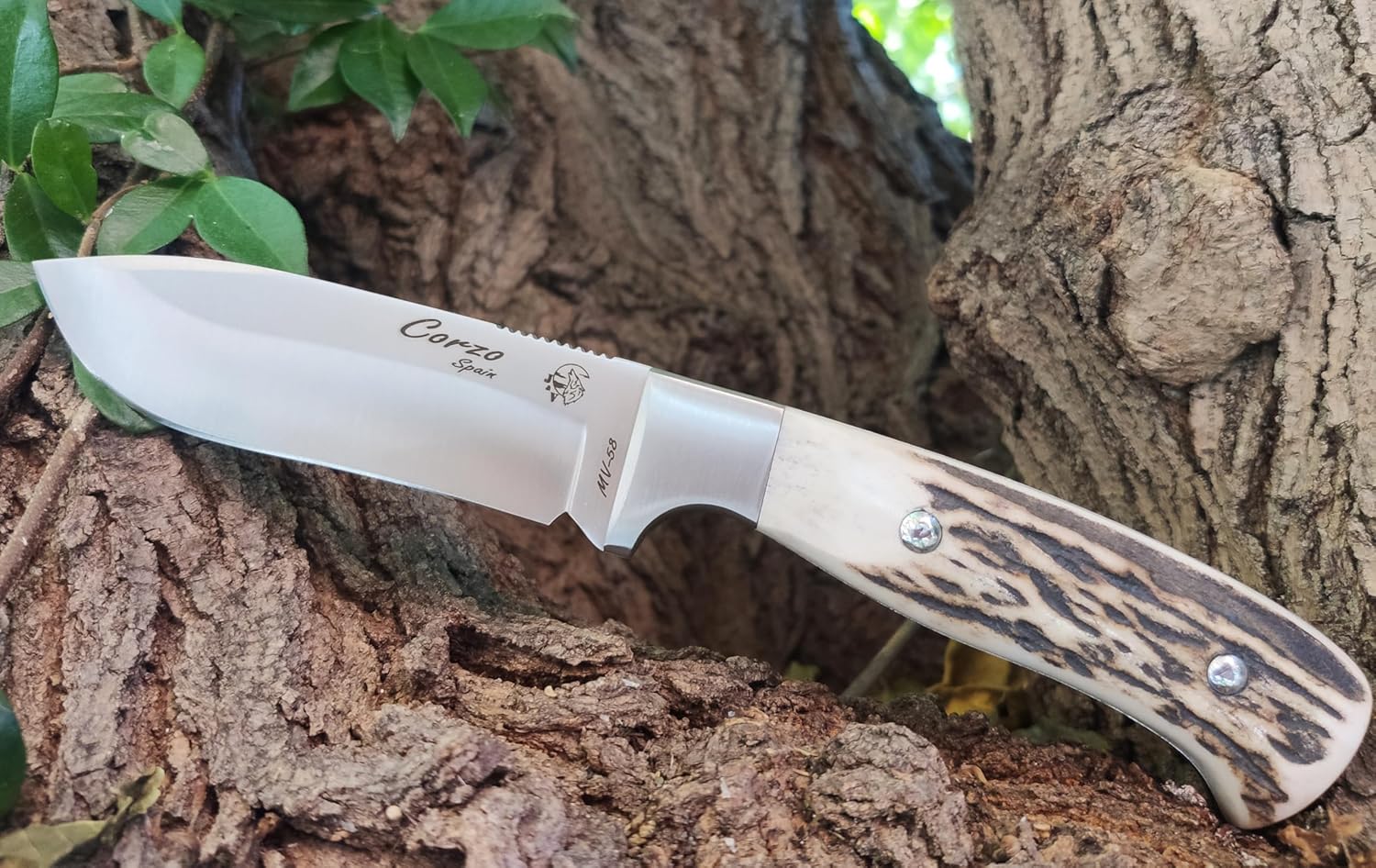 J&V CORZO - Couteau bois de cerf de survie à lame fixe pour le Camping Bushcraft Randonnée, Lame en Acier Inoxydable de 10 cm, Étui en cuir, fabriqué en Espagne