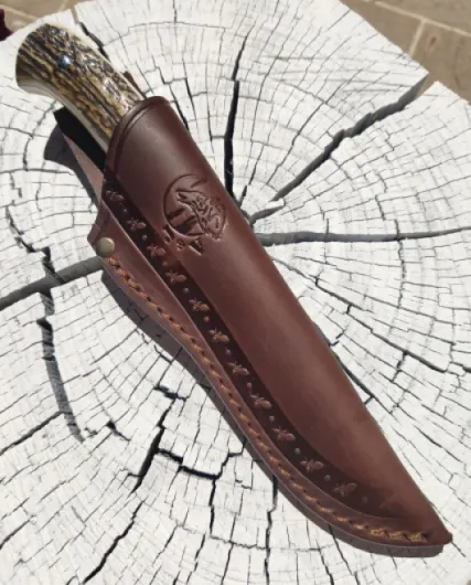 91IDdMnWpAL._AC_SL1500_