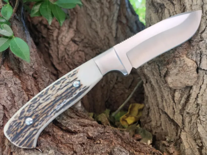 81pg9dmgG-L._AC_SL1500_