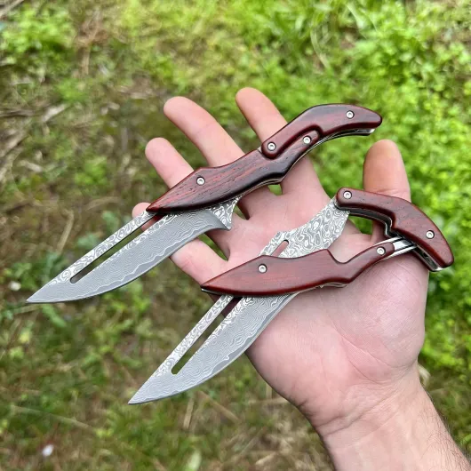 91ADqLlhfQL._AC_SL1500_