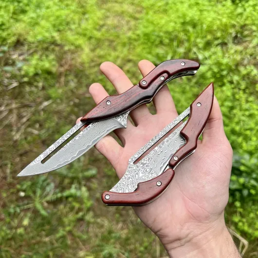 91-sMgBFFxL._AC_SL1500_