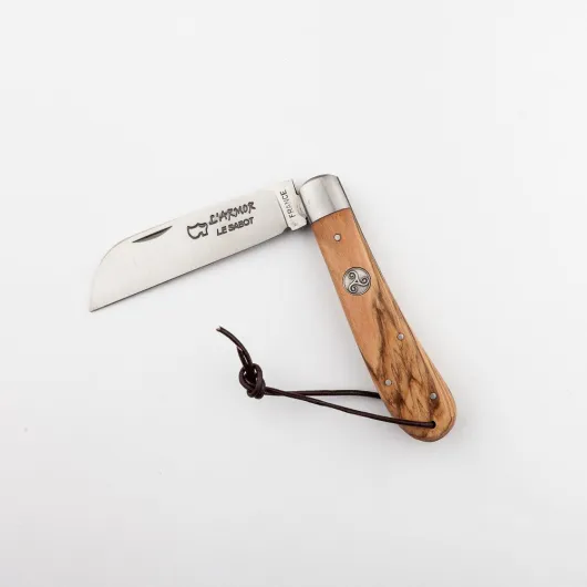 61nZgJmaRVL._AC_SL1000_