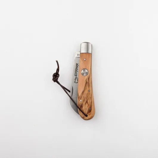 61-JblI9WBL._AC_SL1000_