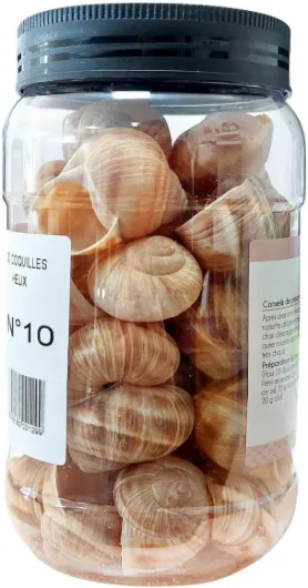 61Y4IpRdgoL._AC_SL1372_