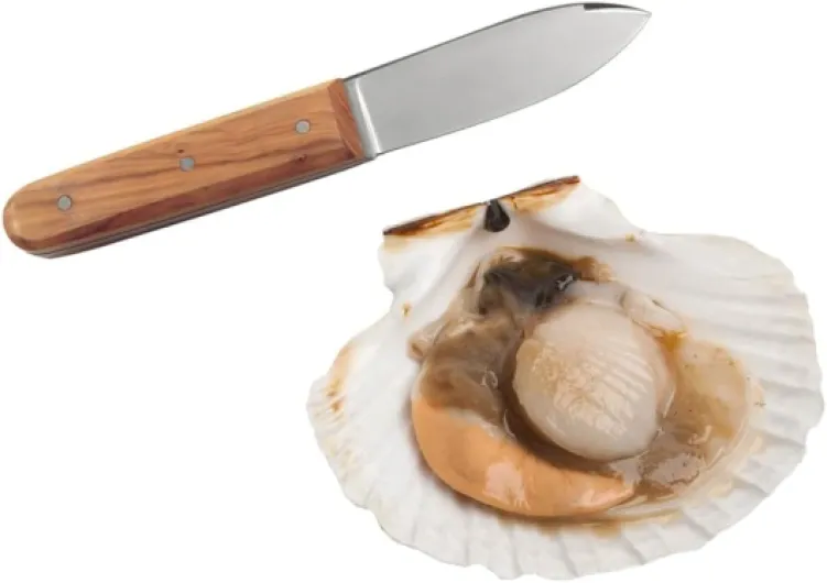 61Lj-WnodFL._AC_SL1200_