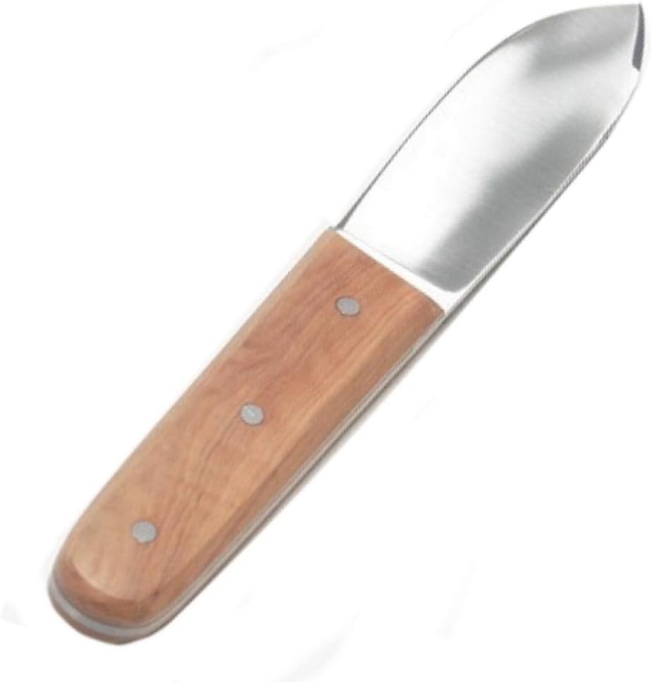 Garier Couteau A Saint Jacques HUITRES 22 CM Bois INOX Cuisine