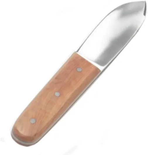 Garier Couteau A Saint Jacques HUITRES 22 CM Bois INOX Cuisine