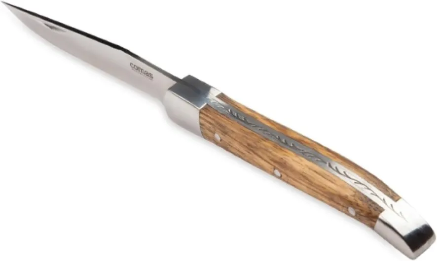 41v6807BNPL._AC_SL1100_