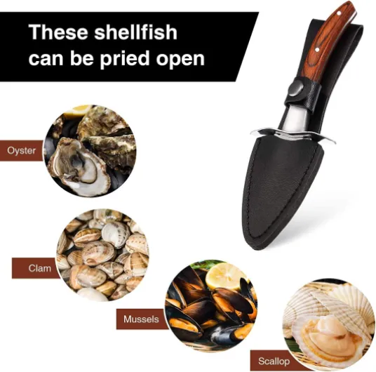 71Sdqn8sO7L._AC_SL1500_