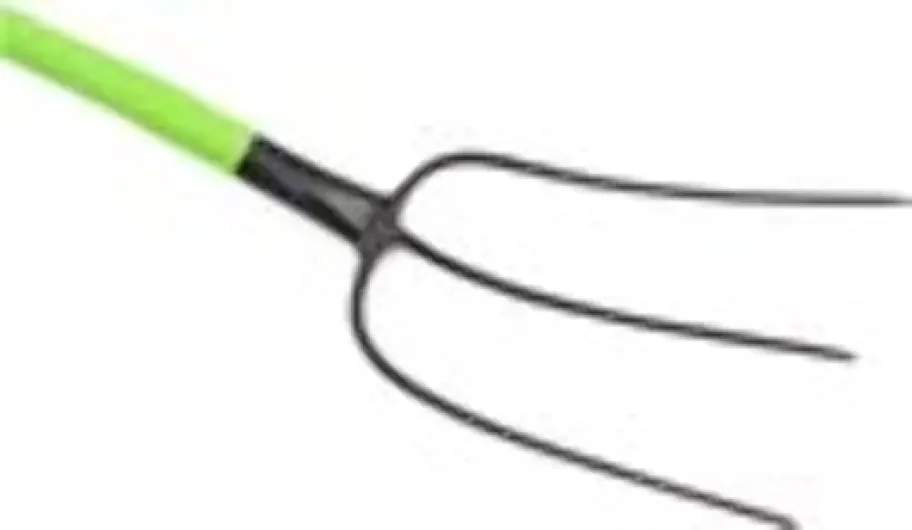 41wnoVtrErL._AC_SL1500_