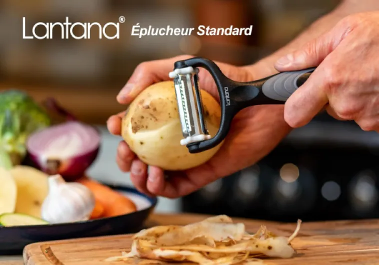 81jQItd9Q-L._AC_SL1500_