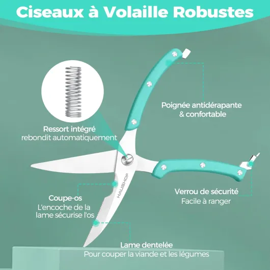 71Jai9-zXIL._SL1500_