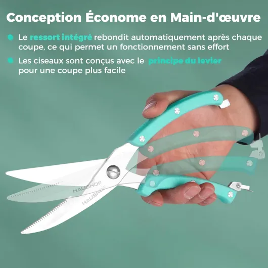 71B99FmG yL._SL1500_