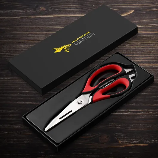 710fLt DqcL._AC_SL1500_