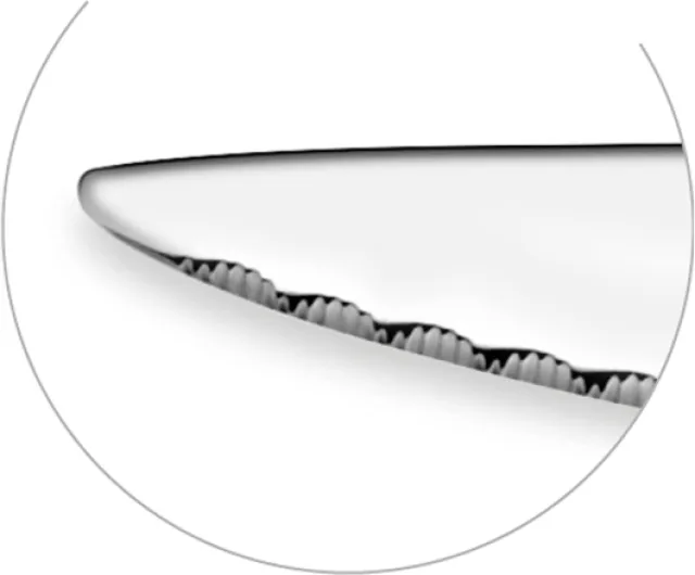 513CAxwGM3L._AC_SL1500_