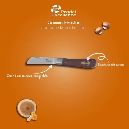 71Sxwyee9VL._AC_SL1500_