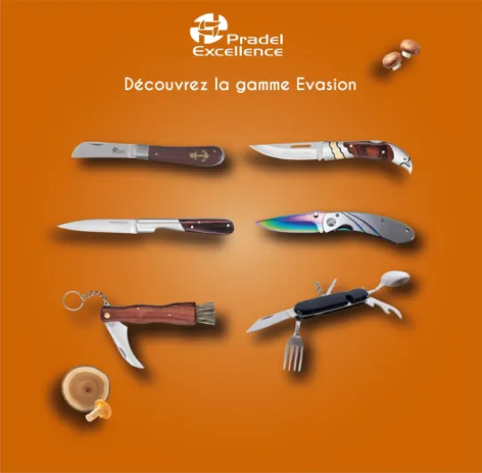 61x1ScjCKQL._AC_SL1500_