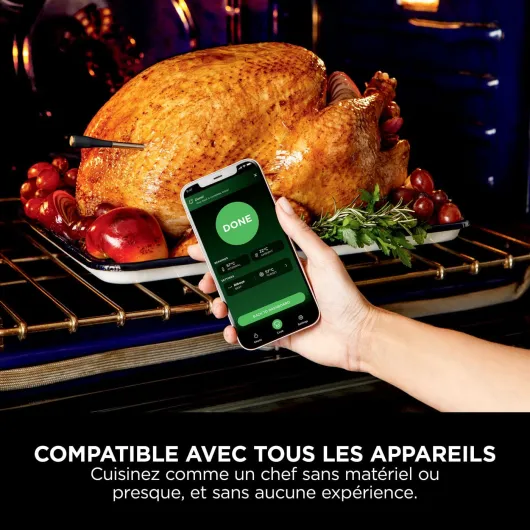 ProChef Sonde thermomètre à viande sans fil intérieur/extérieur, grillades et fritures sans huile avec portée Bluetooth de 50 m, autonomie 30 heures, connectée à l'app et étanche WP100EU